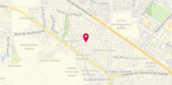 Plan de Sarrut Julie, 2 Rue Erables, 67201 Eckbolsheim