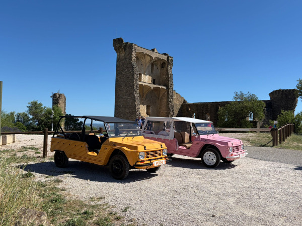 Provence Heritage Cars - 84700 Sorgues